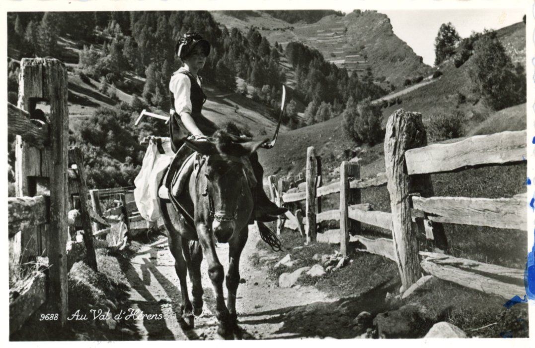 Cartes postales: Val d'Anniviers  VS  -  mulet /Maultier     en 1959 – D'occasion à Brig par Valcards54