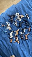 Grosses Schleich-Pferde-Set inklusive zahlreichem Zubehör