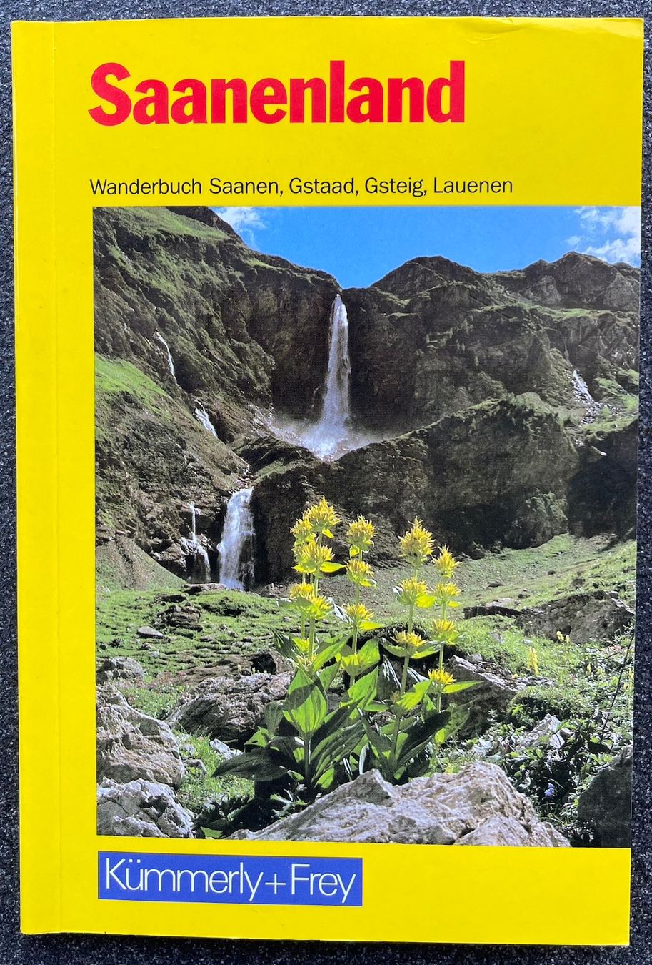 Libri: Berner Wanderbuch - Saanenland – Nuovo (secondo la descrizione) da Burgdorf venduto da Bsb7