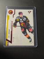 Joel Vermin SC Bern SportZoo red /20