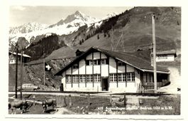 SEDRUN Jugendlager Salins, Auto, Kühe