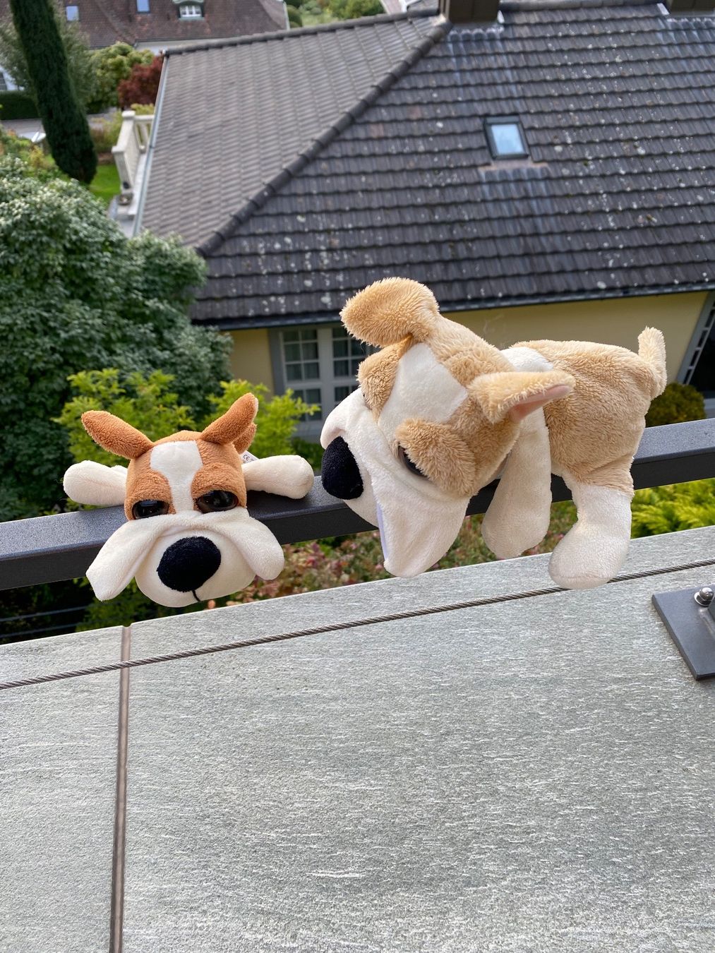 Giocattoli: 2 Plüsch Hunde – Usato da Muttenz venduto da Fantom03 1