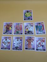 9 verschiedene Panini Extra Sticker