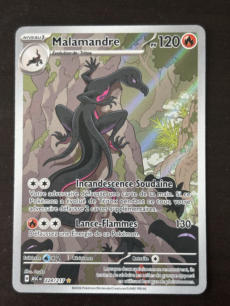 Pokémon Carte collezionabili: Carte Pokémon MALANDRE asc 224 français  – Nuovo (secondo la descrizione) da lausanne venduto da helderj