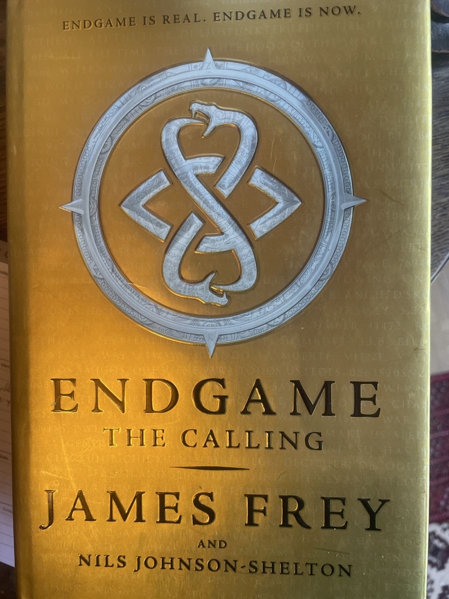 Libri: Endgame The Calling - Spannender Rätselspass – Usato da Schaffhausen venduto da Kolibri023