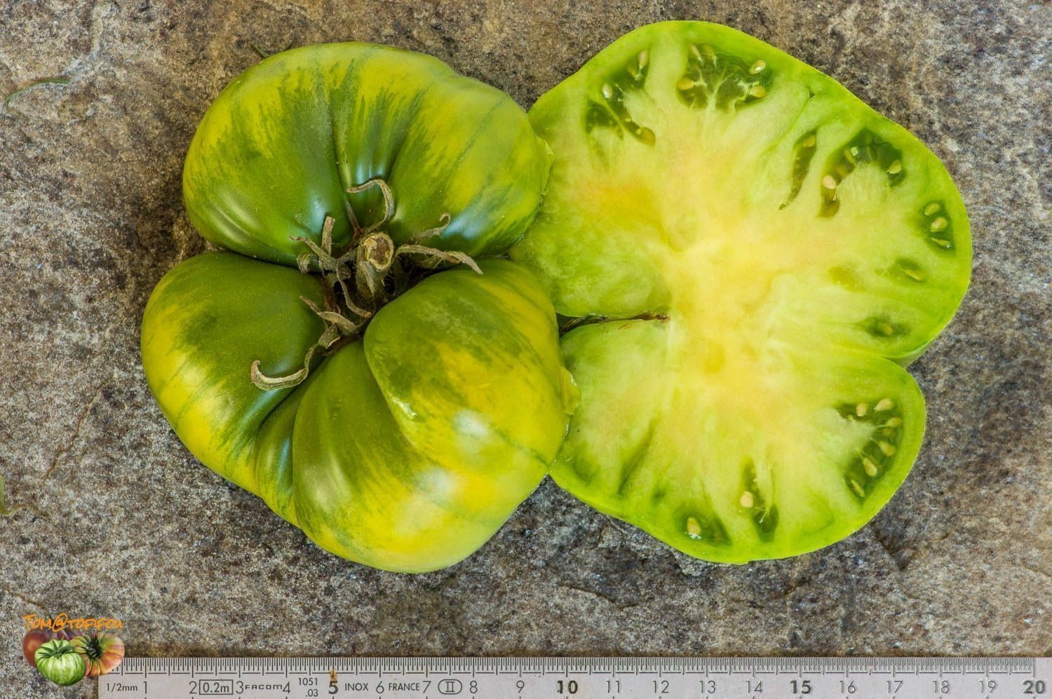 Pflanzen & Samen: 30 Samen AUNT RUBY GERMAN GREEN Tomate – Neu (gemäss Beschreibung) aus Ehrendingen von VerveinaSamen 4