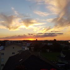 Profile image of ILoveTG