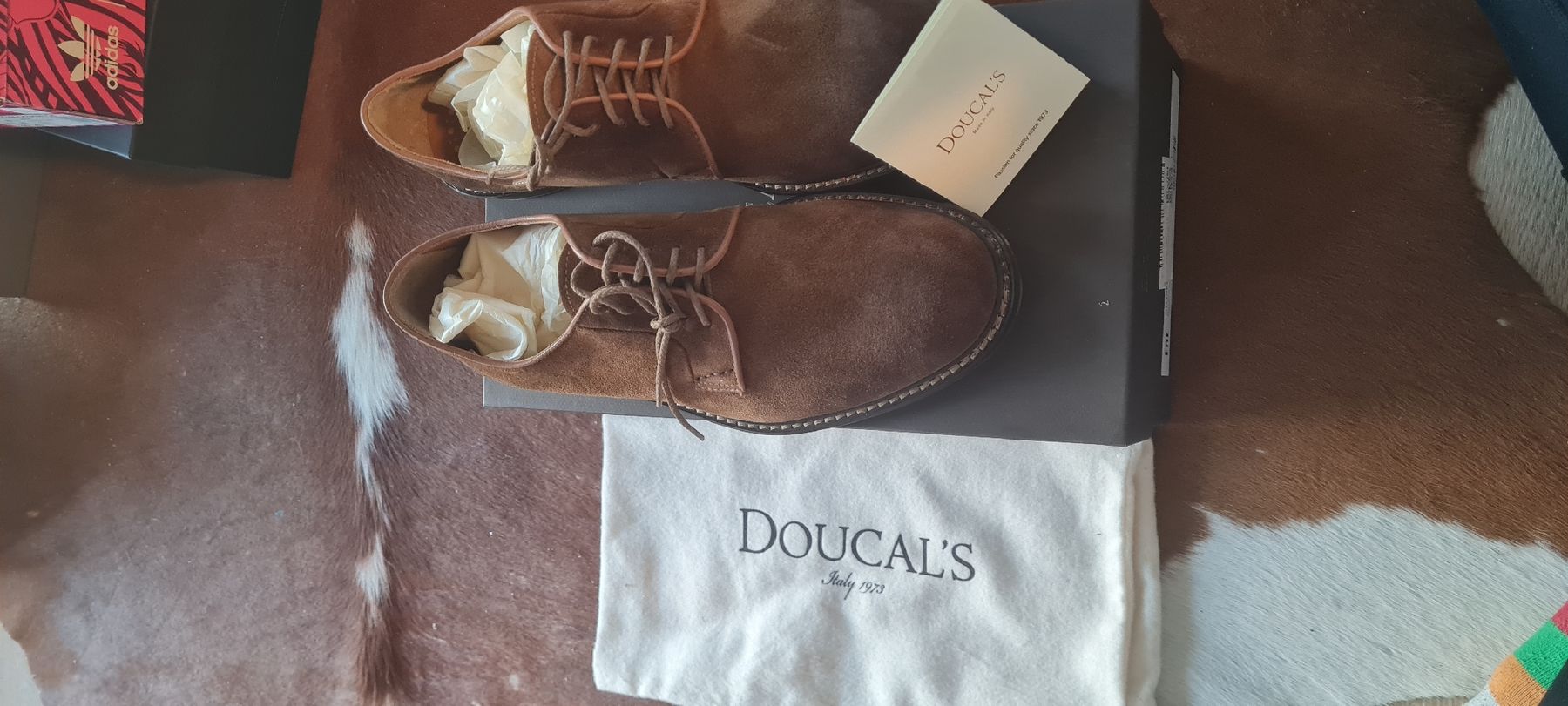 Scarpe da uomo: Doucals Schuh Wildleder 42 – Nuovo e nell'imballaggio originale da Altendorf venduto da nab_mxj7 1