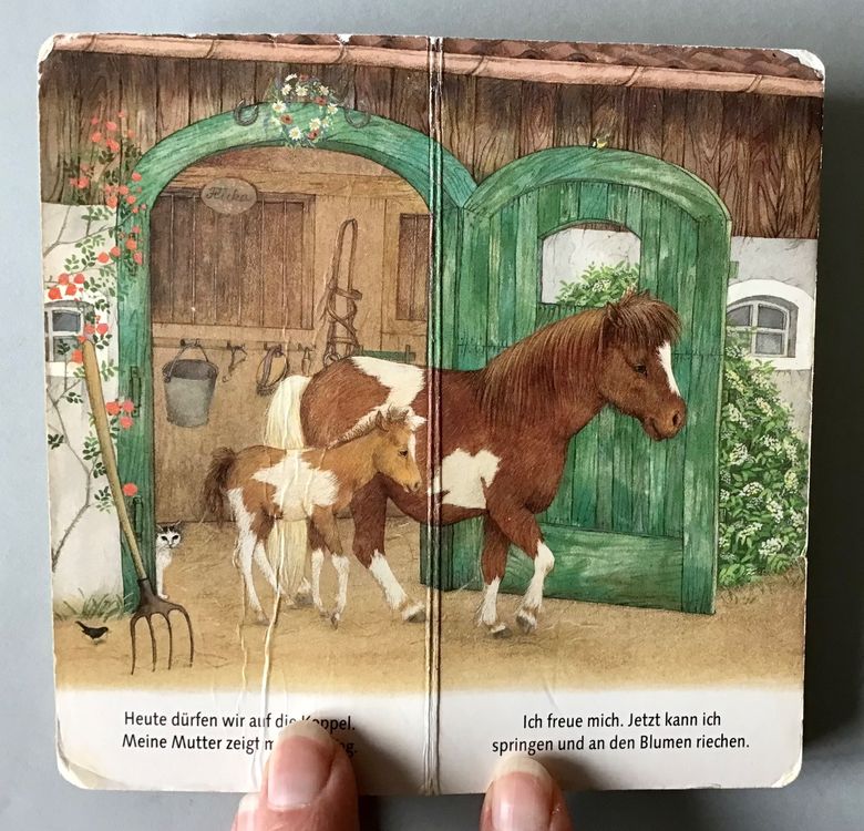 Bilderbuch Ich bin das kleine Pony Kaufen auf Ricardo