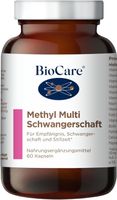 Schwangerschaft Vitamine Folsäure B12 Zink