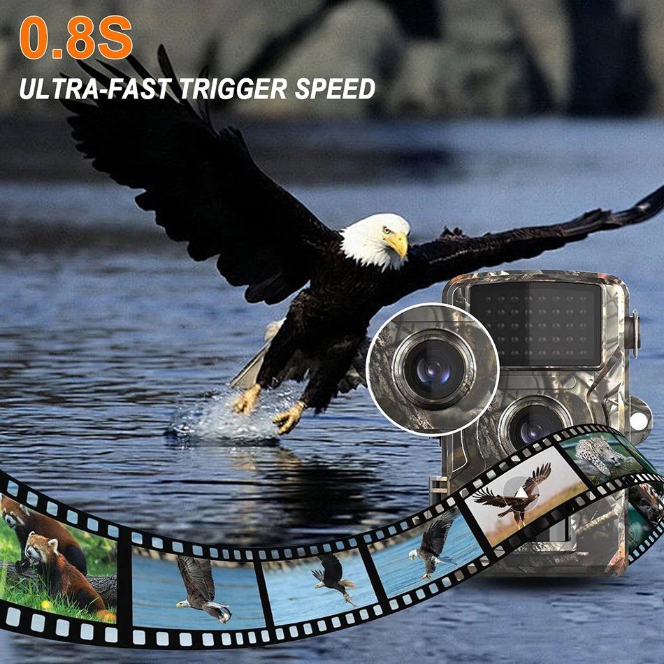 Videocamere: NEU Wildkamera Überwachung Jagdkamera / Caméra de chasse – Nuovo e nell'imballaggio originale da Isérables venduto da Alfaga 7