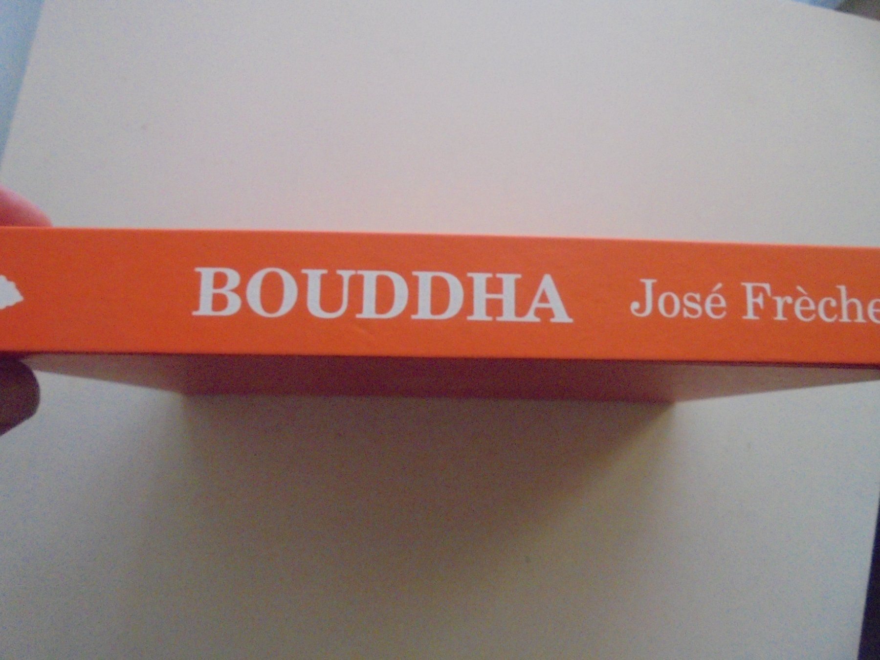 Libri: " Bouddha " par José Frèches. 320 pages, comme neuf – Usato da Eclépens venduto da Consuelo
