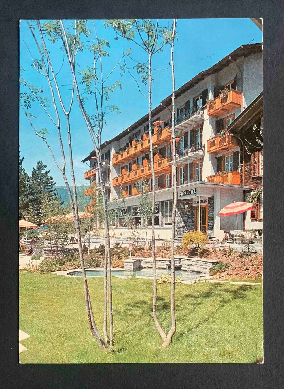 Cartoline postali: AK PARKHOTEL SCHOENEGG GRINDELWALD – Usato da Goldau venduto da artelier1