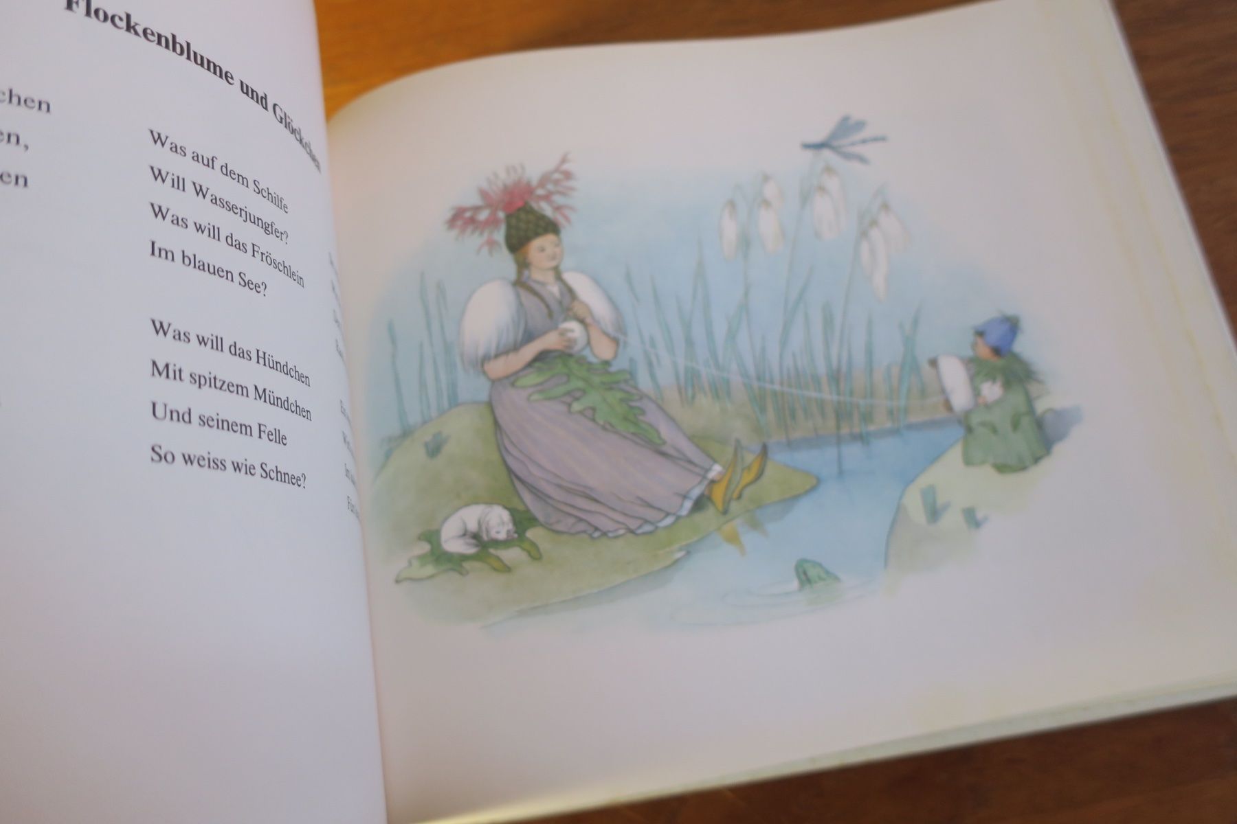 Libri: Ernst Kreidolf / BLUMENMÄRCHEN – Usato da Langenthal venduto da Riccardamax 8