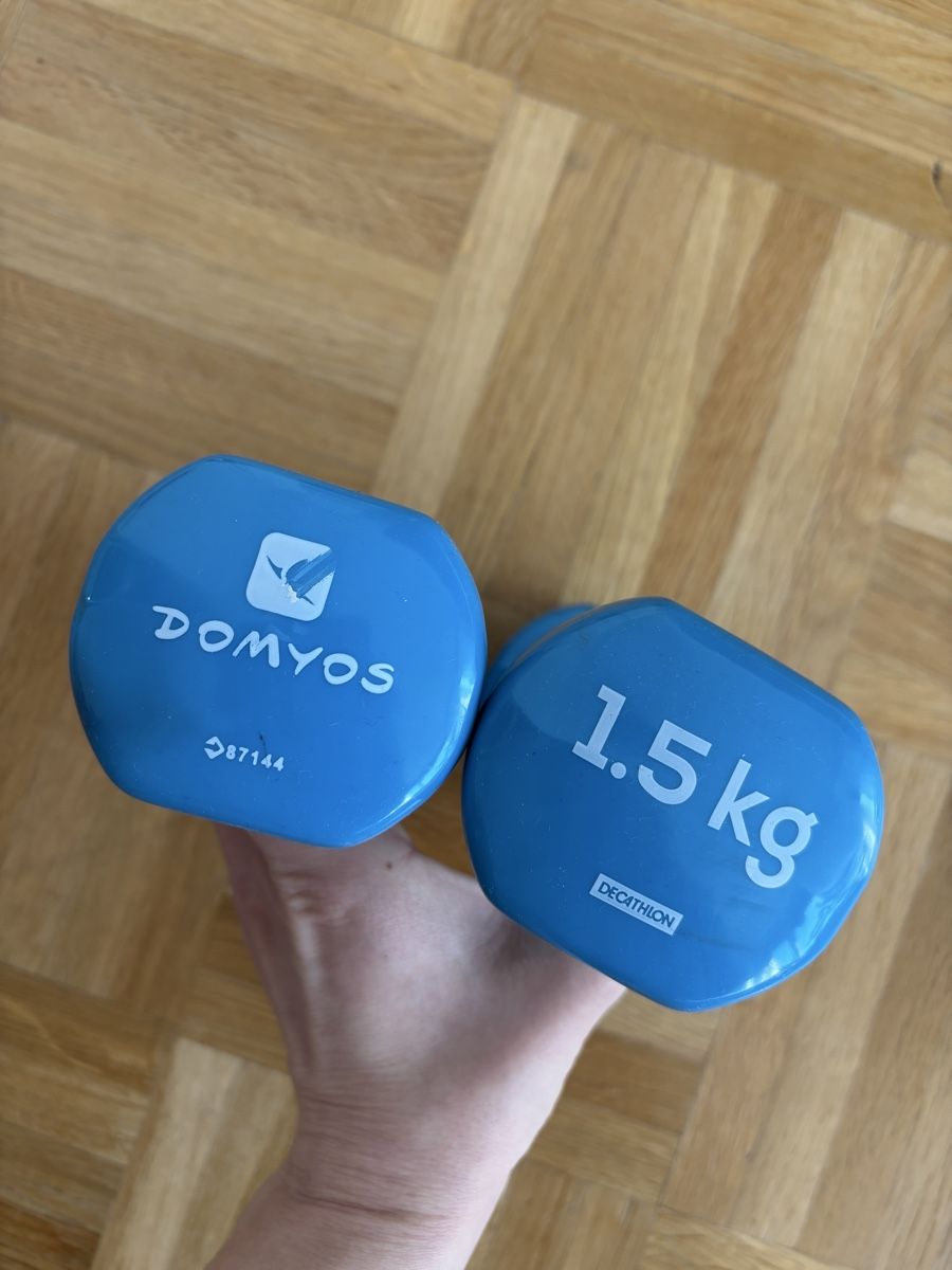 Decathlon Manubri & Pesi: Hanteln 1,5kg – Usato da Zürich venduto da olgiolgi 1