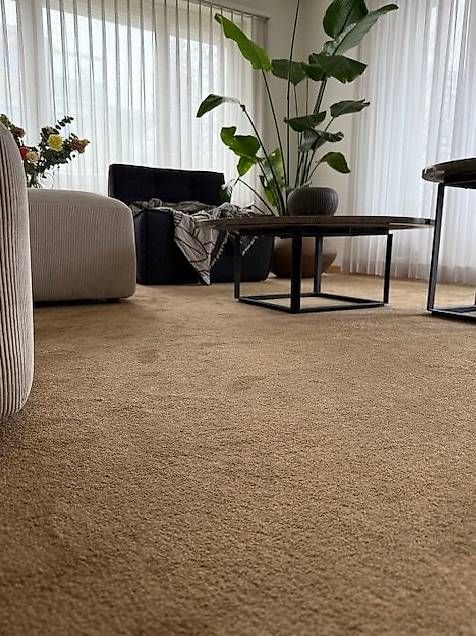 Pfister Tappeti: Grosser neuwertiger Teppich – Nuovo (secondo la descrizione) da Zürich venduto da Coco_chanel 2