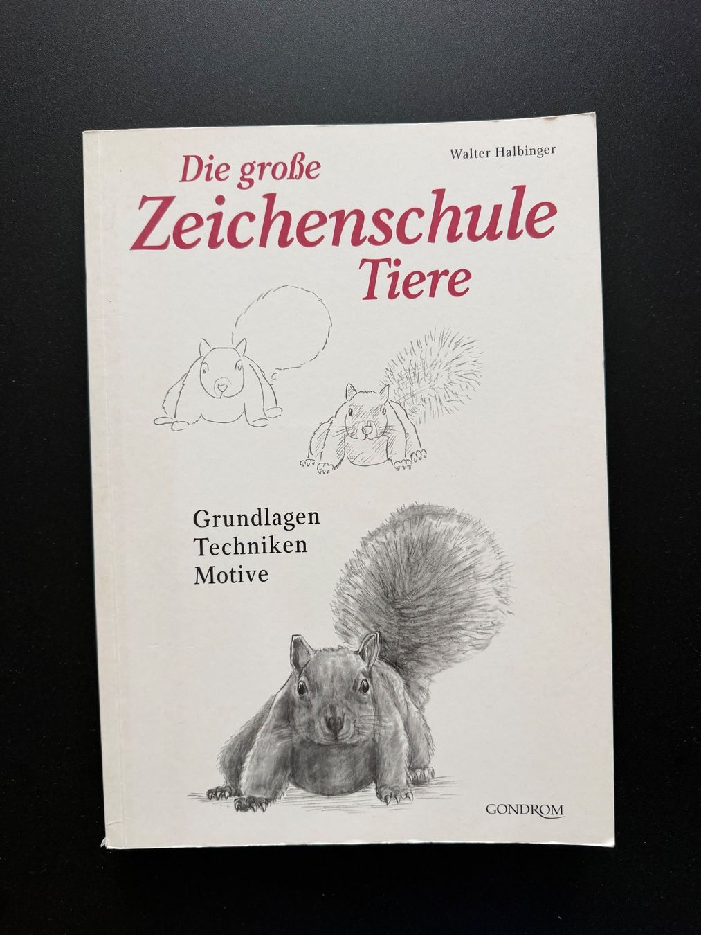 Libri: Die grosse Zeichenschule Tiere – Usato da Kloten venduto da canela9