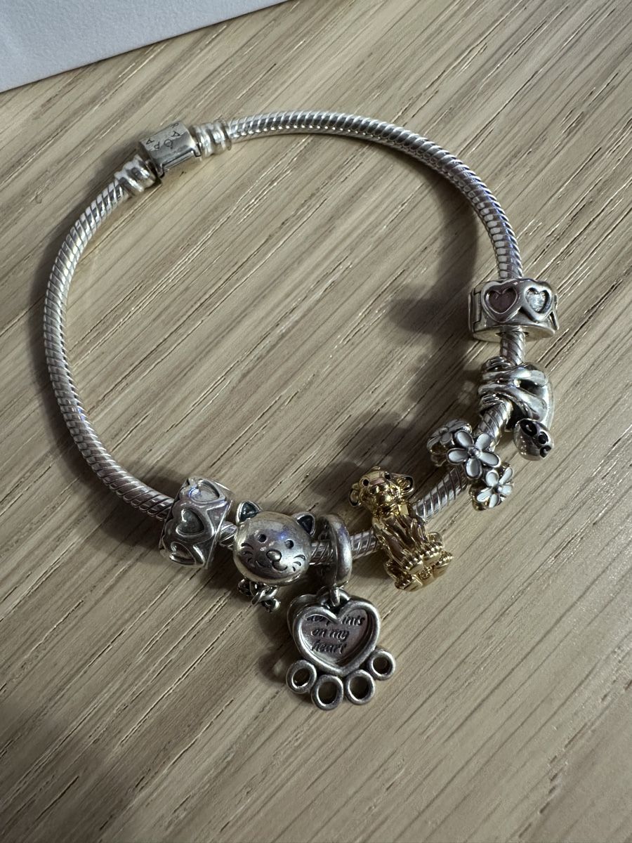 Pandora Armbänder & -reifen: Pandora Armband – Neu (gemäss Beschreibung) aus Däniken SO von lau_75z8 1