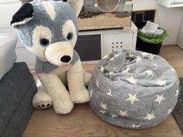 Husky und Sitzsack