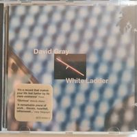 David Gray