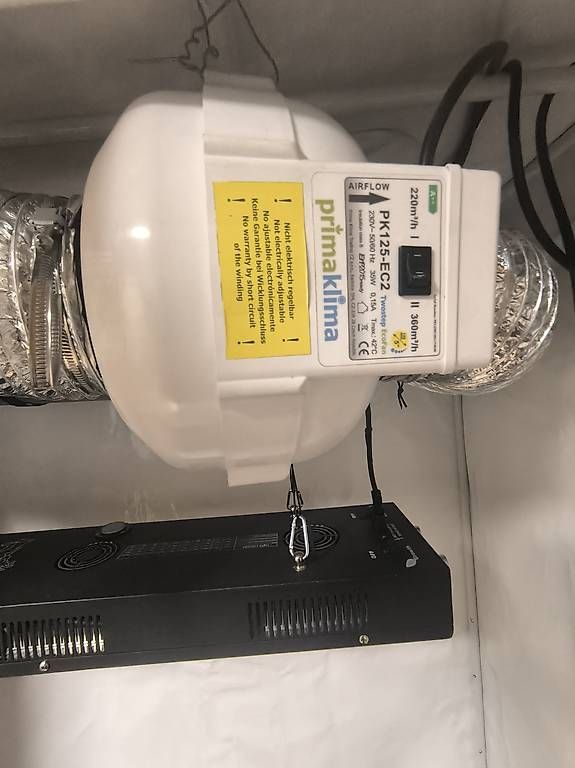 Growbox Altro: Growbox komplett – Usato da Konolfingen venduto da dom_t6m6 2