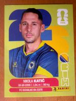 Panini BIH7