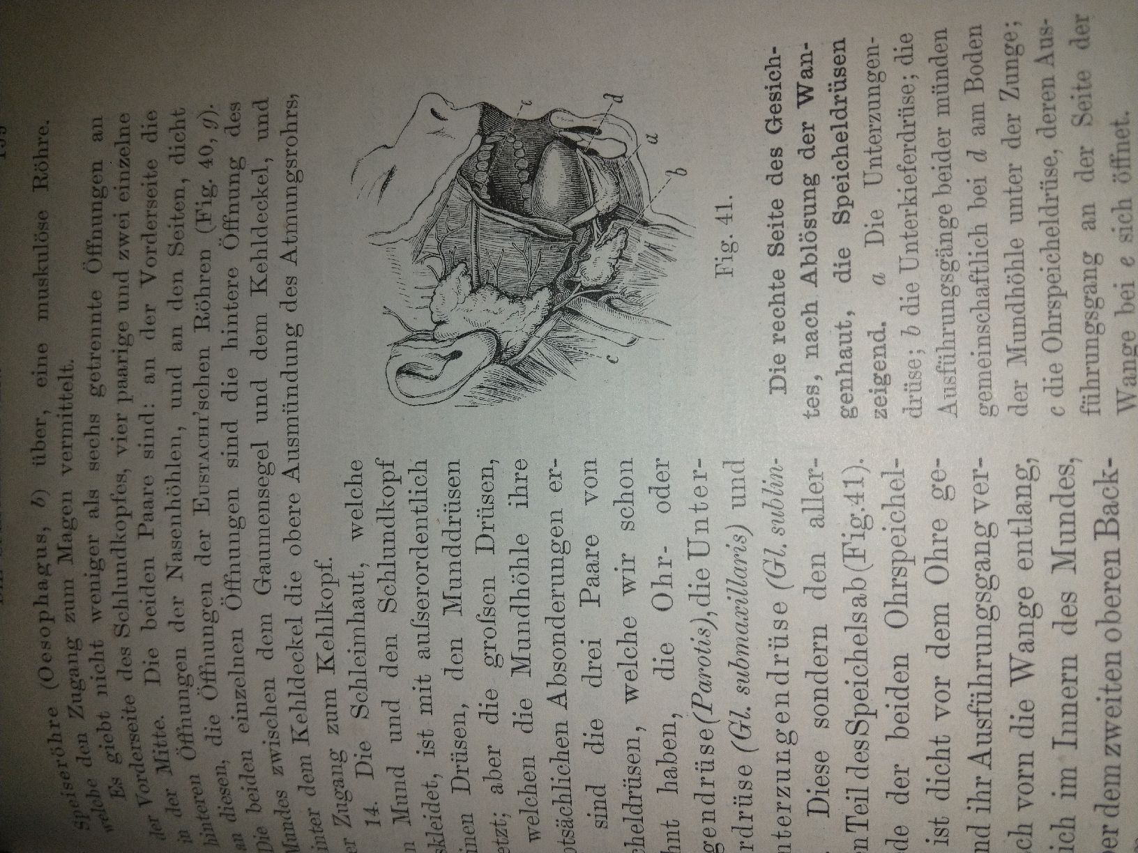 Libri: Buch Grundz.Physiologie 1893 – Usato da Künten venduto da Spinner62