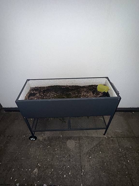 Pots de fleurs: Blumenwagen – D'occasion à Amriswil par cor_gpw9 1