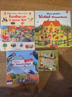 Kinderbuecher 4 Stueck Set guter Zustand