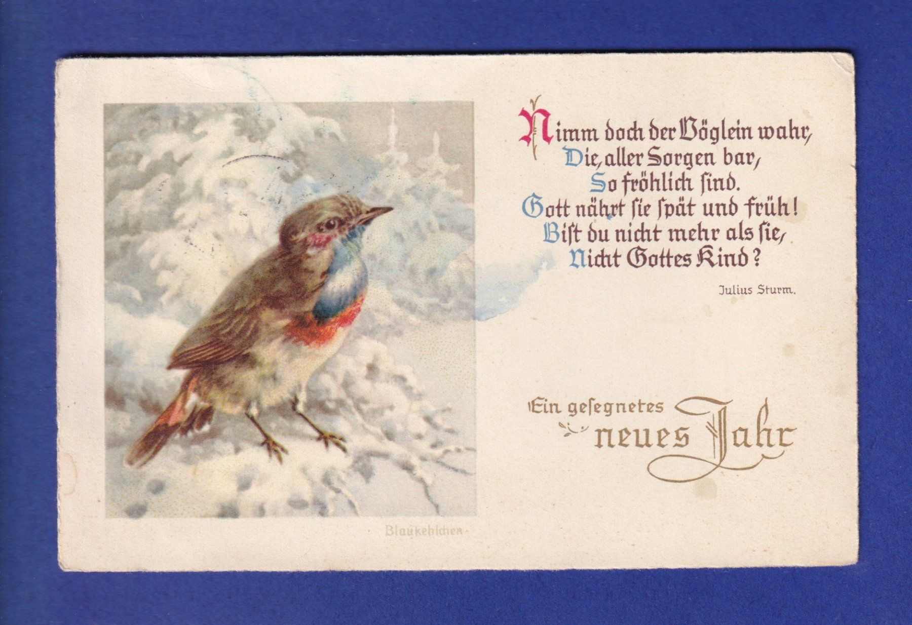 Cartoline postali: OISEAU - Rouge-Gorge - Neujahr – Usato da Pully venduto da nicecards-shop