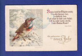 OISEAU - Rouge-Gorge - Neujahr