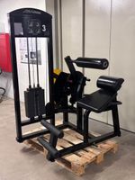 Occasion Life Fitness Abdominal Back Extension