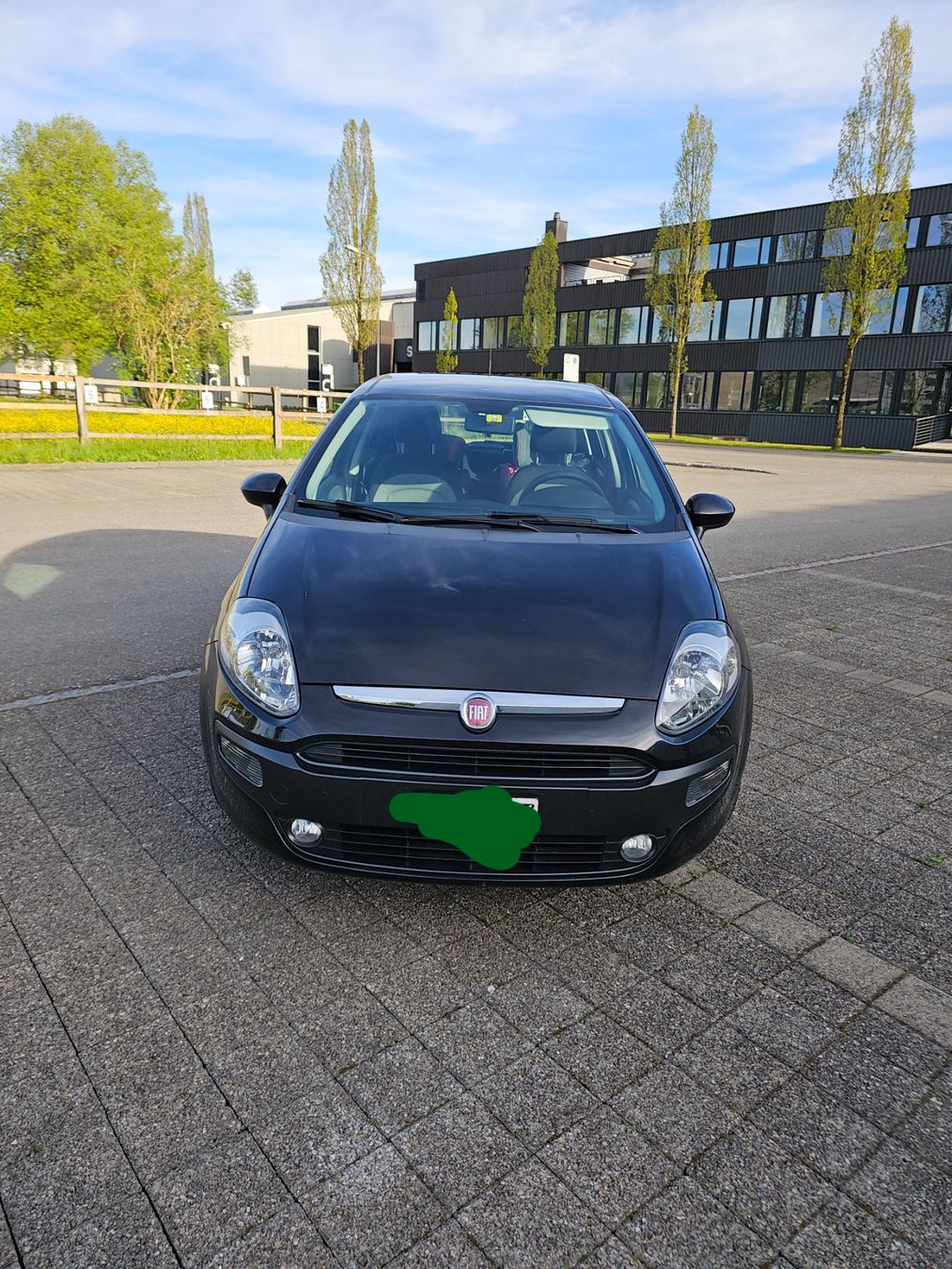 Automobili: Fiat Punto Evo – Usato da Lenzburg venduto da Larosa89 1