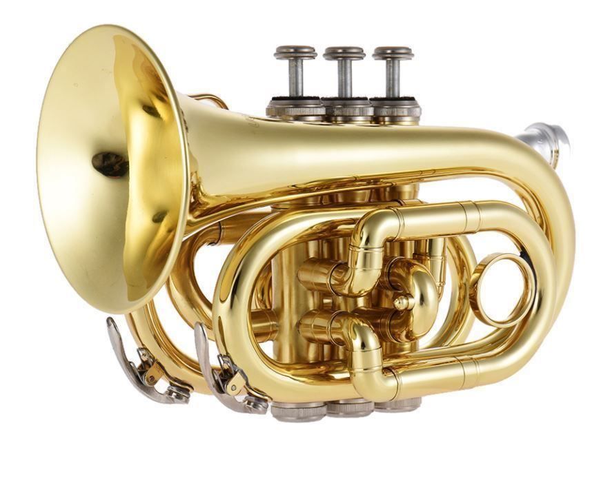 Strumenti musicali: Mini Taschentrompete – Nuovo (secondo la descrizione) da Chur venduto da _xtronix_
