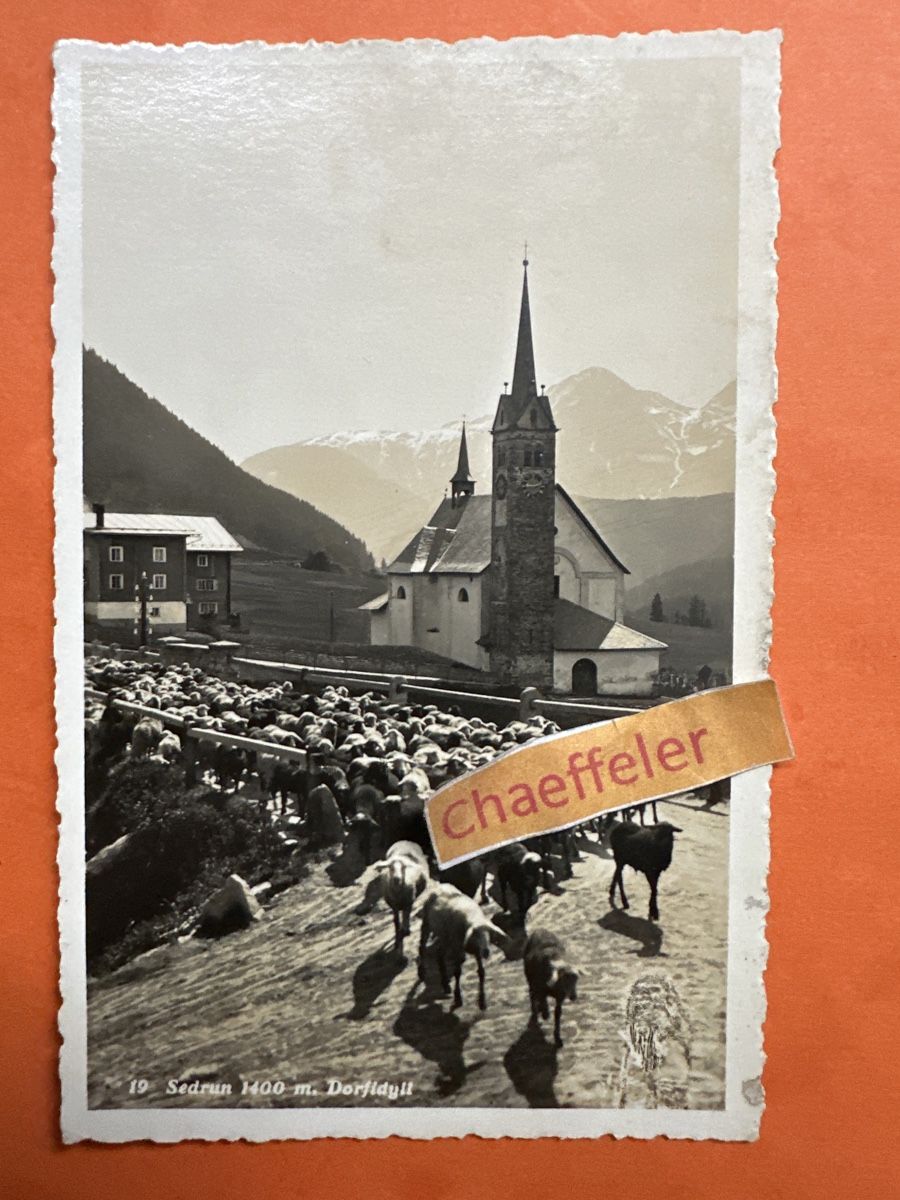 Cartoline postali: 19 Sedrun, Dorfidylle. Mit Schaf-Herde – Usato da Zürich venduto da Chaeffeler