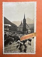 19 Sedrun, Dorfidylle. Mit Schaf-Herde