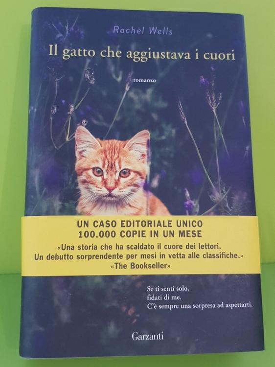 Buch: Il gatto che aggiustava i cuori