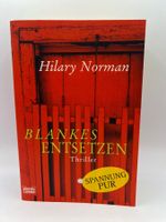 📖 Blankes Entsetzen Thriller Hilary Norman TB
