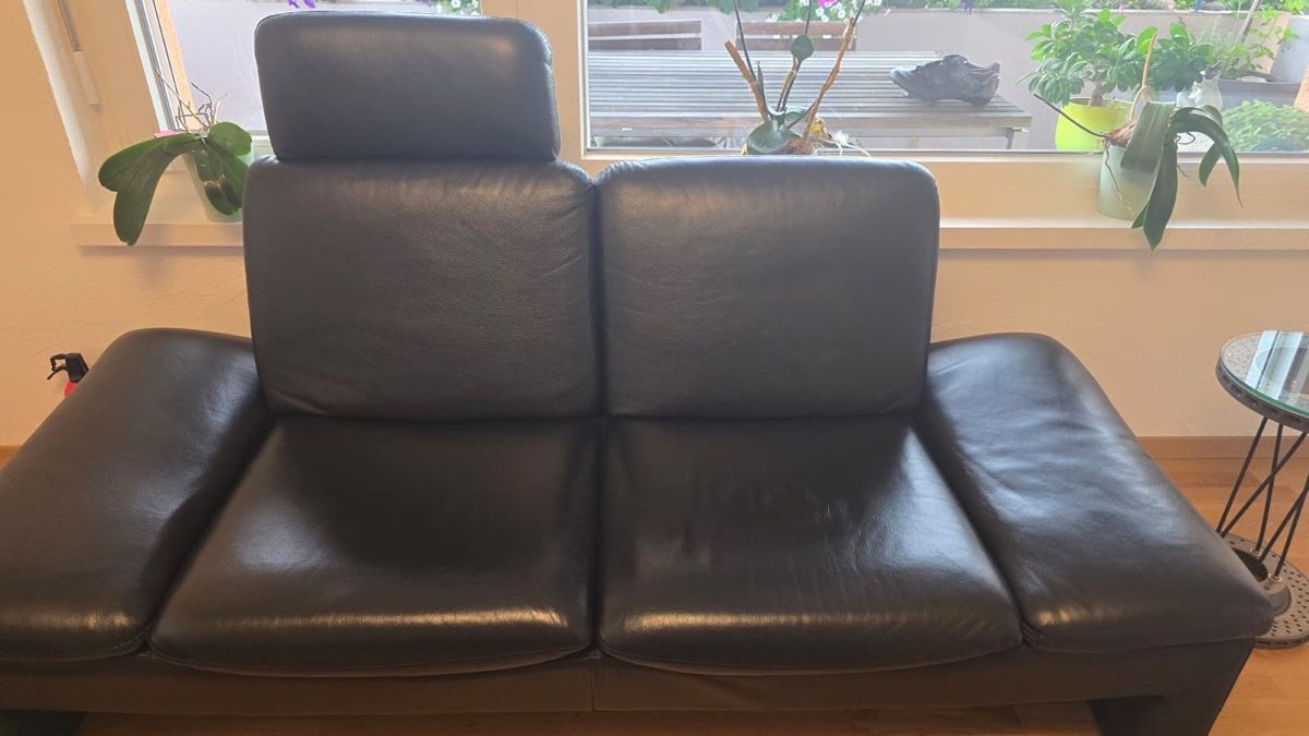 Divani: zweiteiliges Leder Sofa – Usato da Koblenz venduto da THerzog00 4