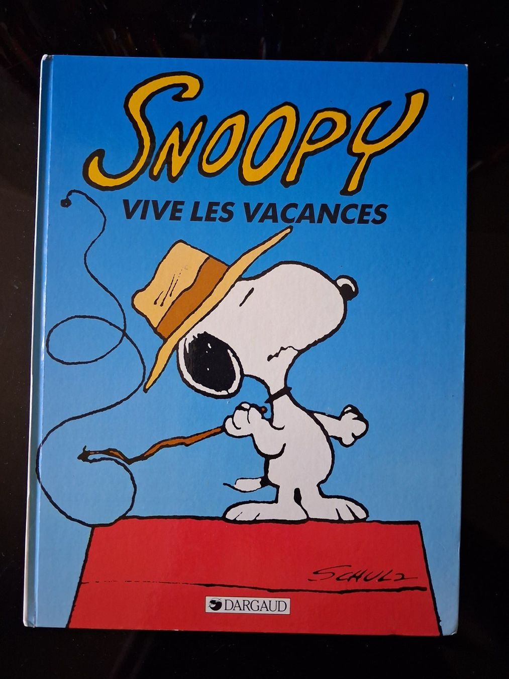 BD: BD Snoopy Vive les Vacances Dargaud 1988 - EO – D'occasion à Cartigny par pgc_fk9s