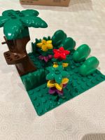 DUPLO plantes + fleurs + herbes + petite plaque