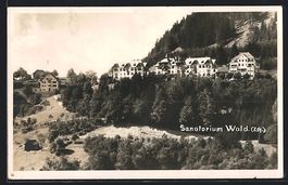 AK Wald /Zch., Sanatorium, 1929