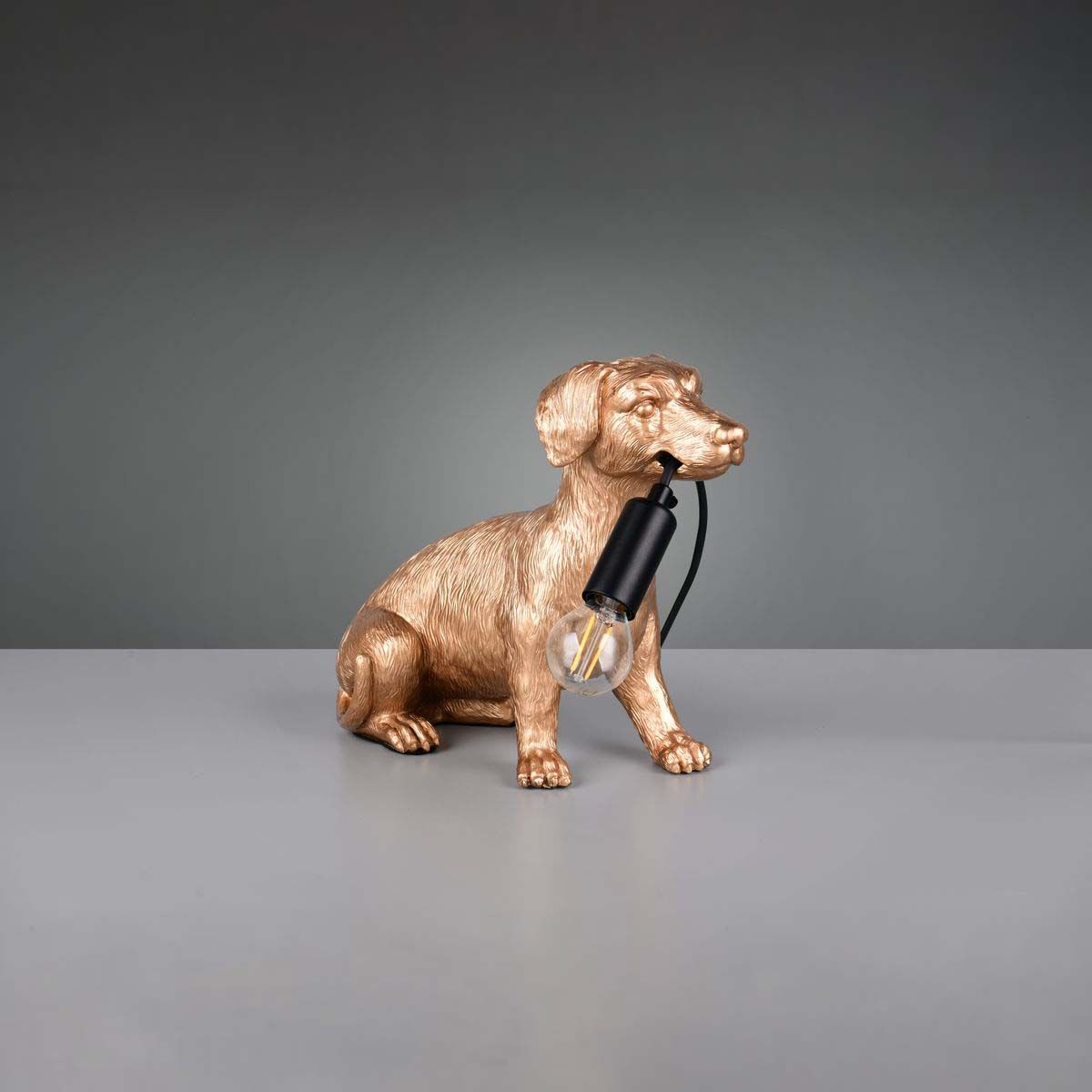 Lampade: Tischleuchte, Hund, Gold, 24 cm Höhe – Nuovo (secondo la descrizione) da Kreuzlingen venduto da Smart-Light 1