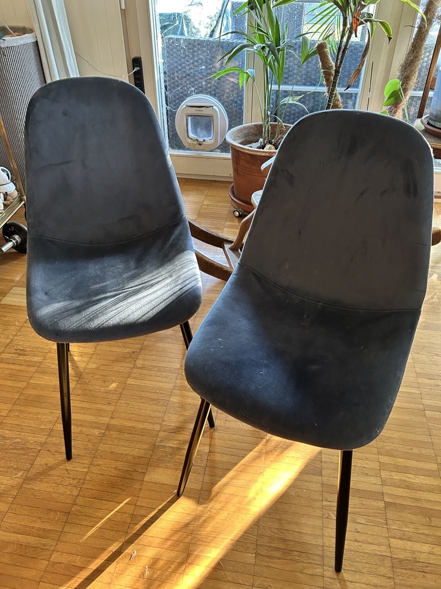 Stühle: Zwei blaue Samtstühle – Gebraucht aus Urdorf von chaeruellespa 3