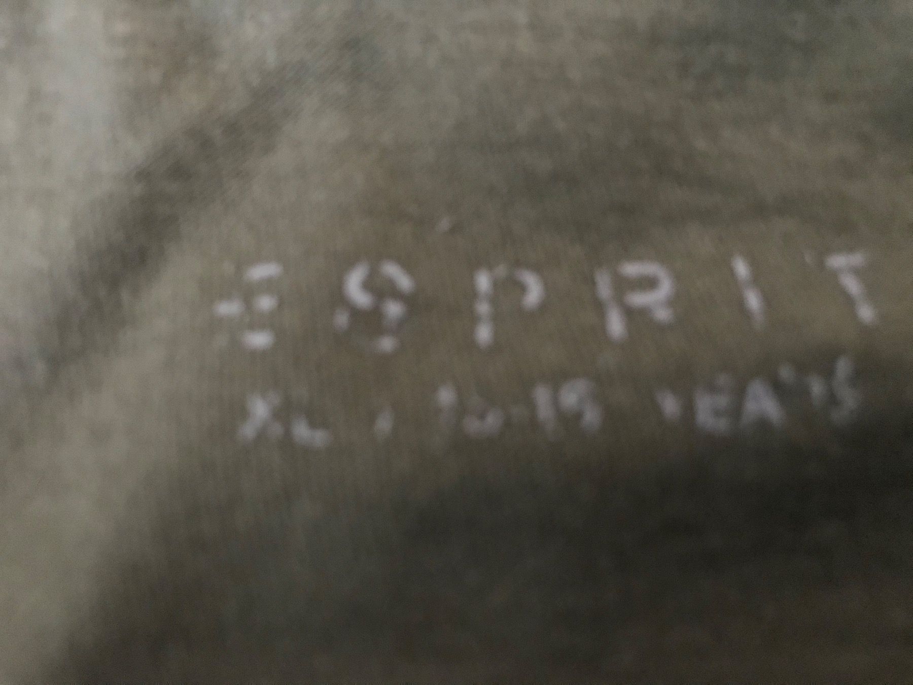 Esprit Camicette, T-shirt & Top: Shirt langarm - Esprit - Grösse 176 – Usato da Oberuzwil venduto da jabano 2