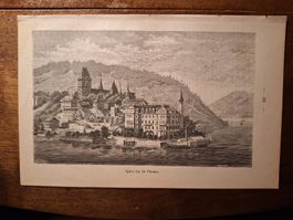 SPIEZ LAC DE THOUNE