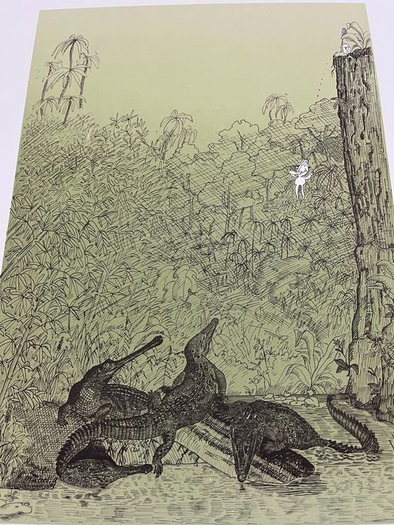 Grafiken & Lithographien: JÜRG FURRER LITHOGRAPHIE SIGNIERT NUMMERIERT – Gebraucht aus Gersau von grafik-kunst 2