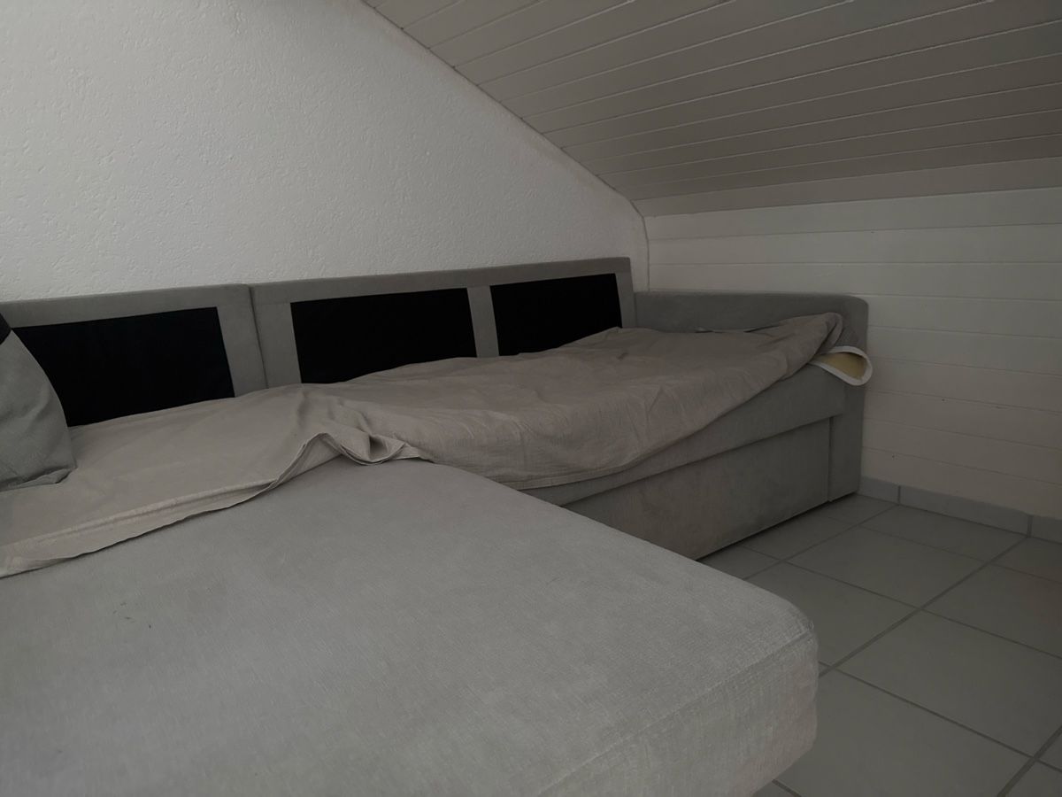 Conforama Divani: Klappbares Sofa – Usato da Bettenhausen venduto da Nmruk