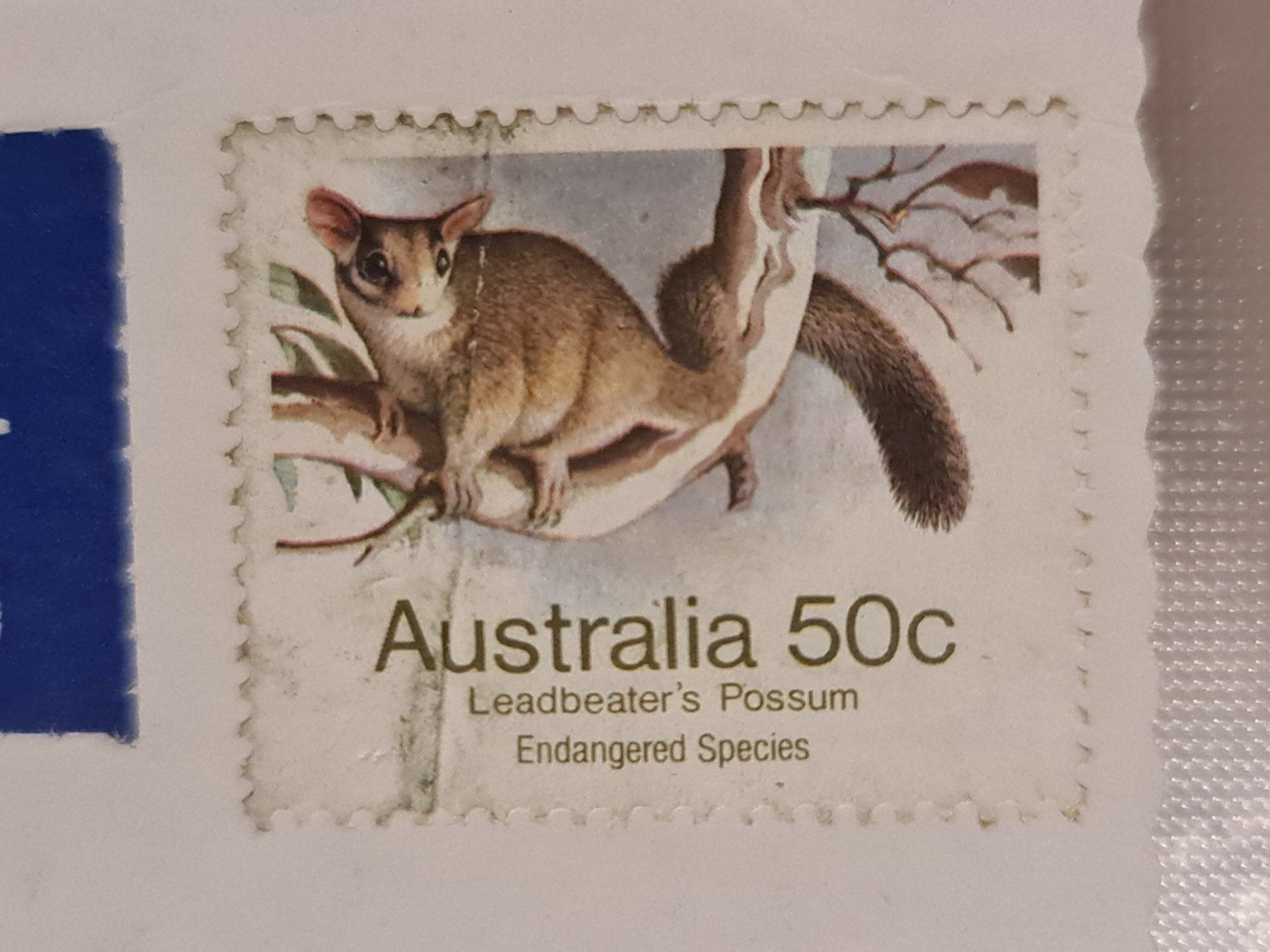 Cartoline postali: Ansichtskarte Noosa Postkarte Australien – Usato da Dintikon venduto da Vexi 1