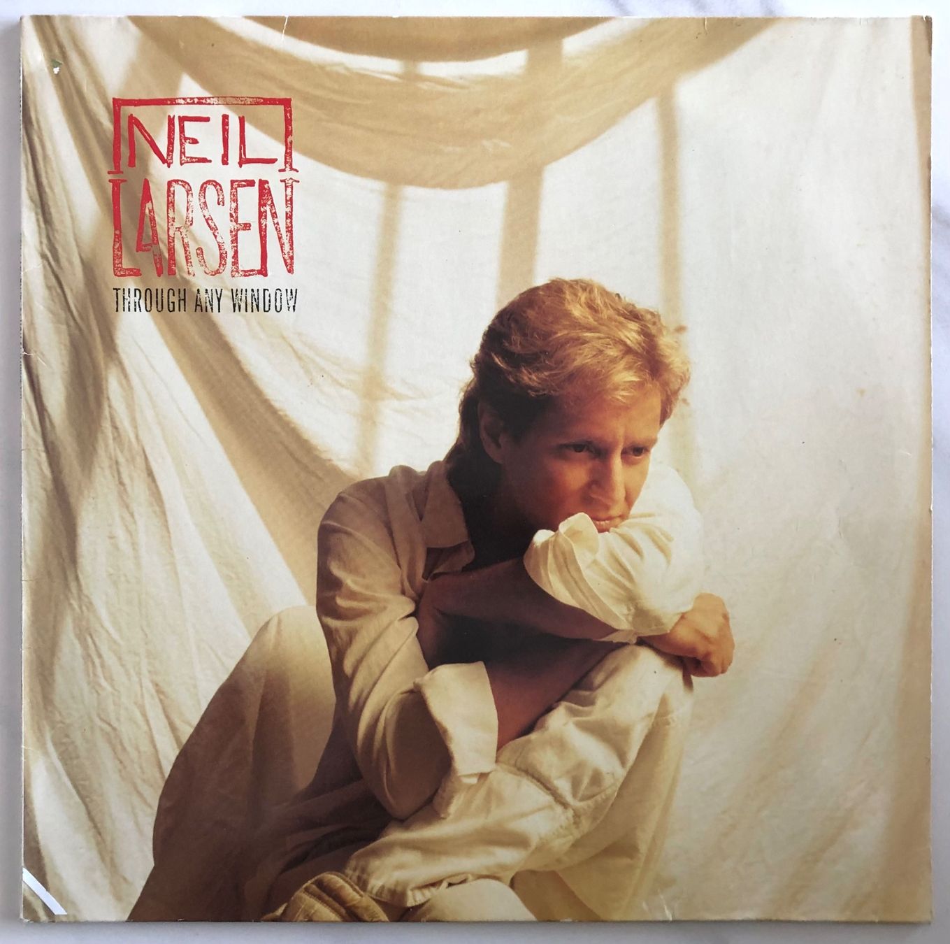 Dischi in vinile: GREG ALLMAN BAND / NEIL LARSEN - THROUGH ANY WINDOW – Usato da Poliez-Pittet venduto da Newtown-Records